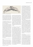carelit_237731_2.jpg