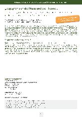 [doc_241976] „Begegnen sich die Praxis und die Theorie...“ Feststellung und Bearbeitung von Widerspruchskonstellationen in der wissenschaftlichen Weiterbildung